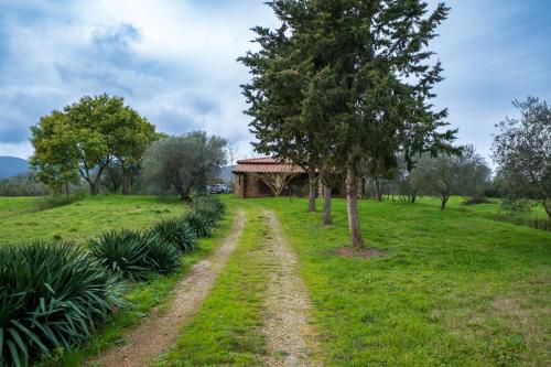 Podere Il Ghiaccio by Agriturismo Casetta