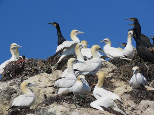 Valen Cabins in Reine Valen Cabins in Reine