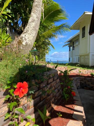 Hilo Bay Oceanfront Bed and Breakfast - image 21