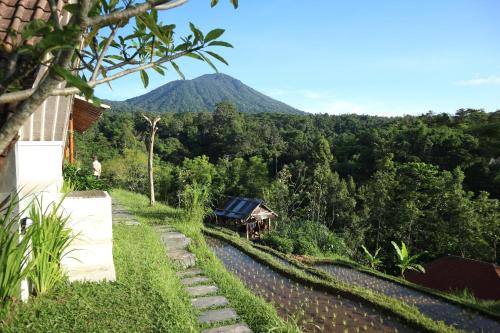 Padi Bali Jatiluwih