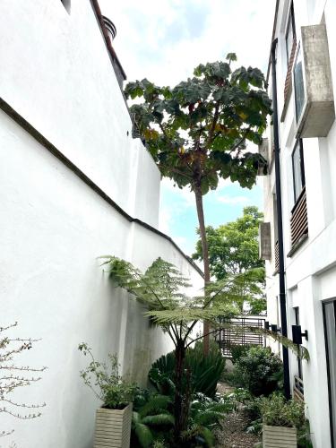 Modern loft, view-town-La Candelaria neighborhood, Bogotá (foto 6)