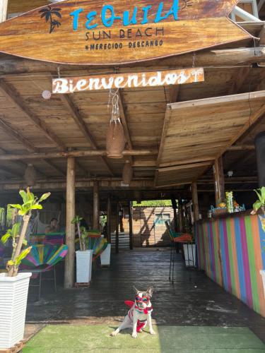 Tequila SunBeach Baru Eco-Hotel