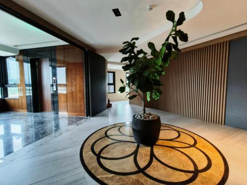 Spring溫泉 Spring溫泉