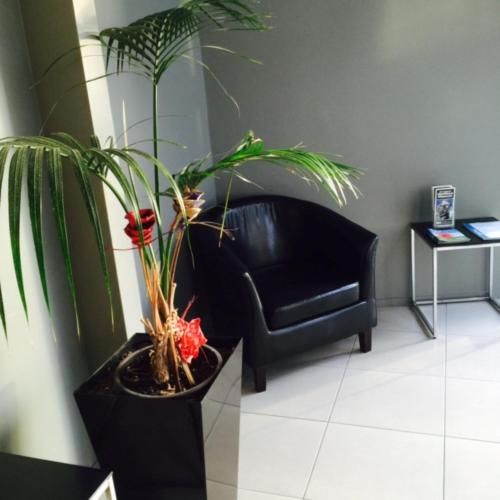 ردهة, بارنيل إن (Parnell Pines Hotel) in بارنل