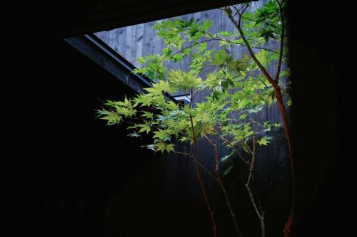 <Shu>Suite Japanese-Style Townhouse with Open-Air Bath image 1