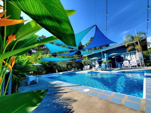 Hidden Palms Inn