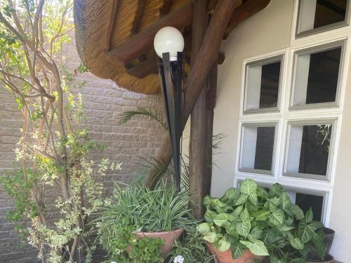 Bird's Nest Guest House Bird's Nest Guest House