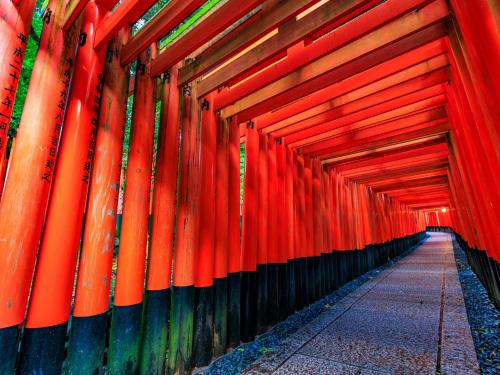 THE BLOSSOM KYOTO - image 4