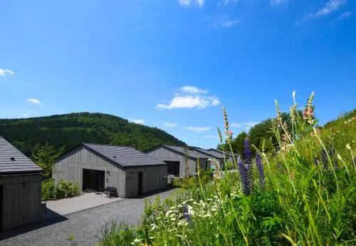 Sauerland Lodge - Haus Julius in Winterberg, Deutschland