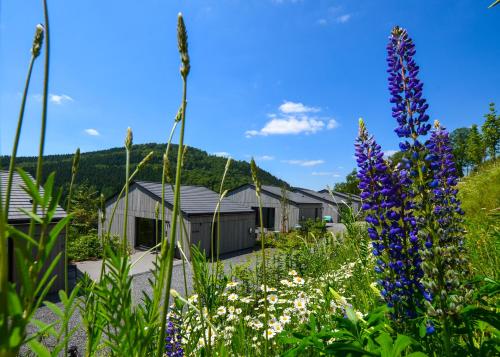 Sauerland Lodge - Haus Luise Winterberg