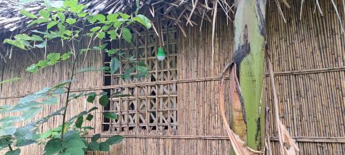 Зовнішній вигляд готелю, Tanna Chez Nous Bungalow and Tours in Ісака