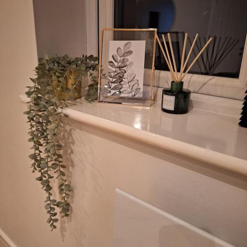 Home at Highgrove - Private Garden & Parking, Reading (zdjęcie 9)