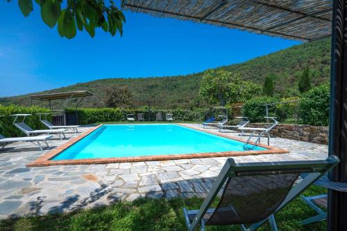 Colle Degli Ulivi - pool, nature, relax holiday home Cortona, Italia