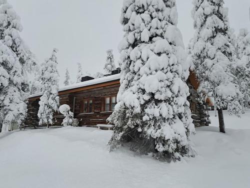 Tunnelmallinen kelohonkamökki (paritalon puolikas) Rukalla