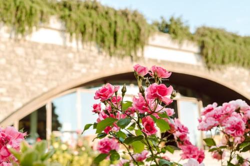 Merumalia Wine Resort 5