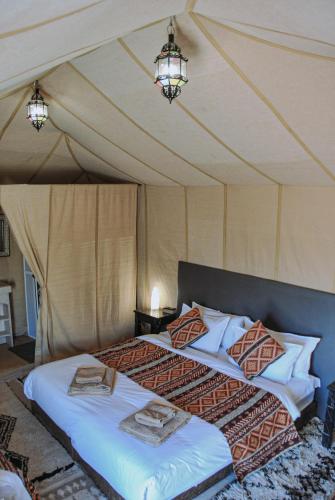 Camel Trips Luxury Camp