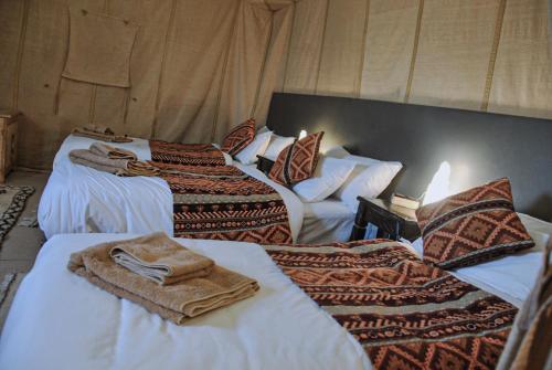 Camel Trips Luxury Camp