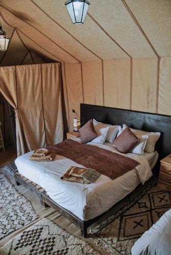 Camel Trips Luxury Camp