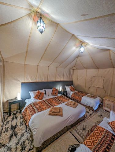 Camel Trips Luxury Camp