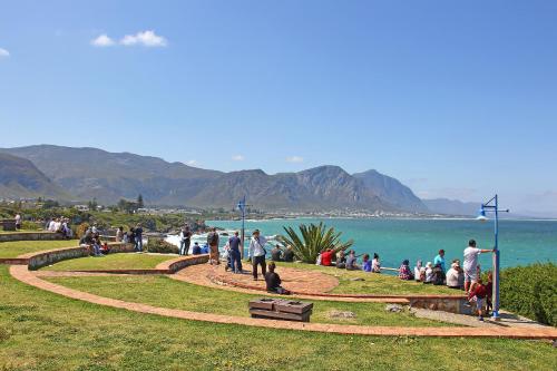 Standard Holiday Home image 5