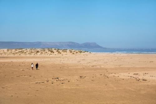Standard Holiday Home image 2