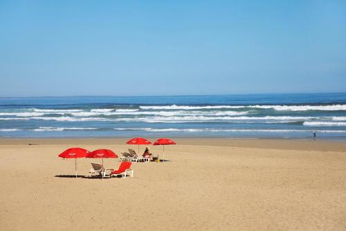 Standard Holiday Home image 1