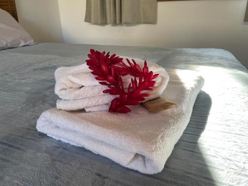 Moon Bay Bangalô Moon Bay Bangalô