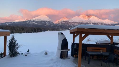 Chalet Sijkovsky in 斯塔拉列斯納