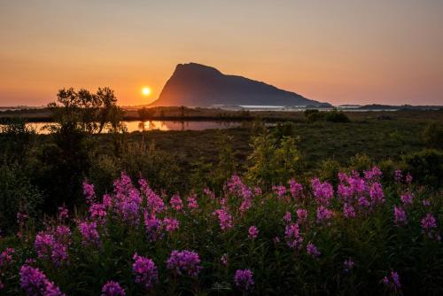 Lofoten Midnightsun Northern lights Golf Beach Horses in Gimsoy