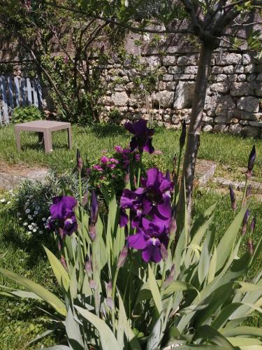 Kert, Au Logis de Véchillot (Au Logis de Vechillot) in Angouleme Városközpont