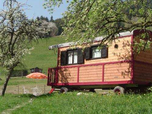 Le Repaire de Mitzerlé - Chalet - Mitzach