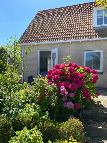 Zeayou Zeeland - Appartementen Brouwerijweg 43 Zeayou Zeeland - Appartementen Brouwerijweg 43