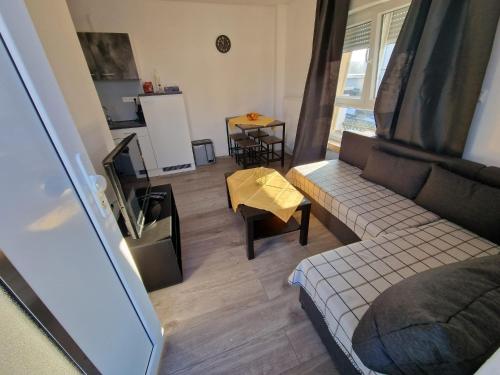 Ferienwohnung - klein aber fein in Landau in der Pfalz