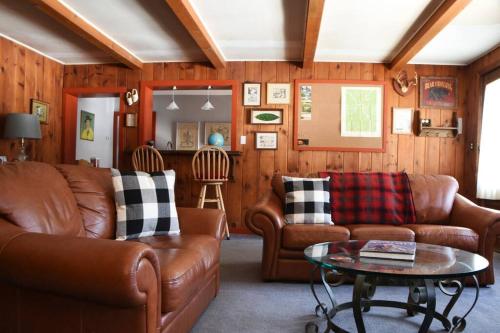 Panther Mountain Lodge in Phoenicia, USA