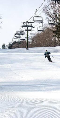 Panther Mountain Lodge