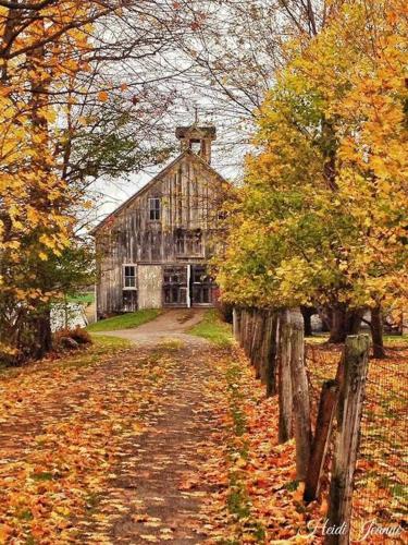 Panther Mountain Lodge