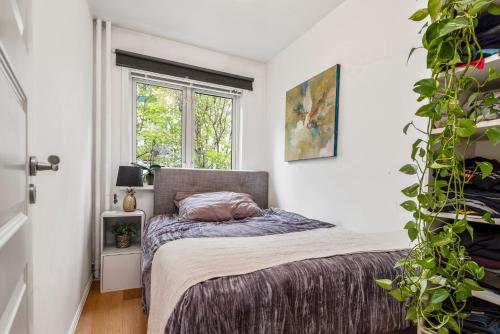 Large apartment - Luxurious neighborhood - 8 pax, Oslo (photo 9)