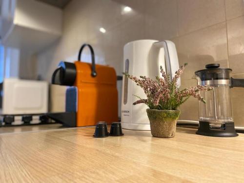 Super studio in the heart of Nice!, Nice (fotografie 7)