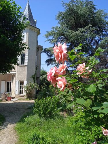 Maison calme avec piscine entourée de son parc