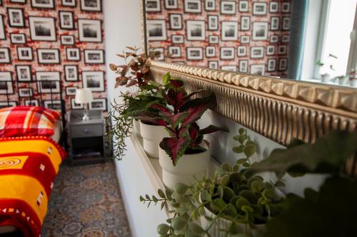 Apartament u Olechny 4