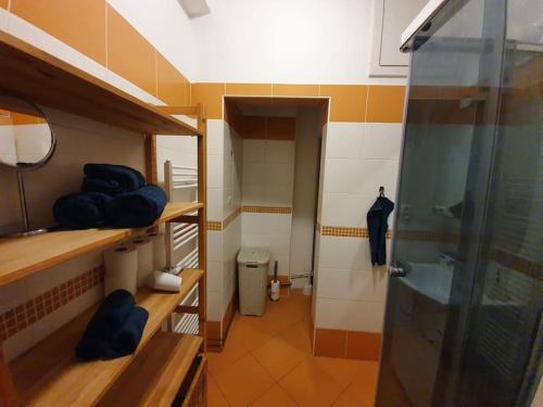 Stylish & quiet apt next to Presidential palace, Bratislava (fotografie 7)