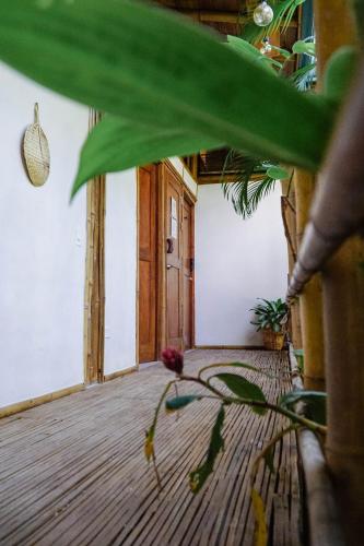 Balcony/terrace, Dream Surf House Santa Teresa (Playa Hermosa) in Santa Teresa