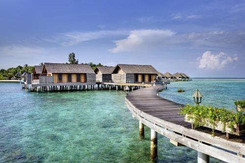 Gangehi Island Resort & Spa image 22