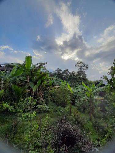 Old Bank Tea Garden