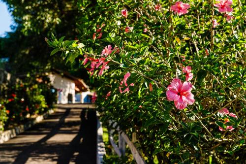 524343101 Hotel Morro De Santo Agostinho
