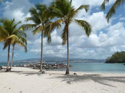 F2 proche plage Anse Mitan F2 proche plage Anse Mitan