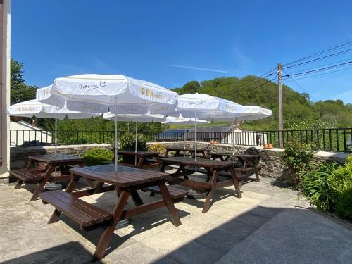 Castle Inn - image 2