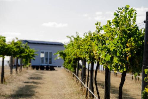 Hounds Run Vineyard - Tiny House in the Grampians