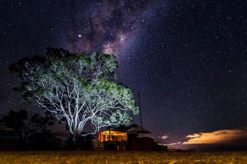 Hounds Run Vineyard - Tiny House in the Grampians