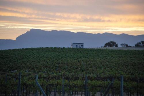 Hounds Run Vineyard - Tiny House in the Grampians